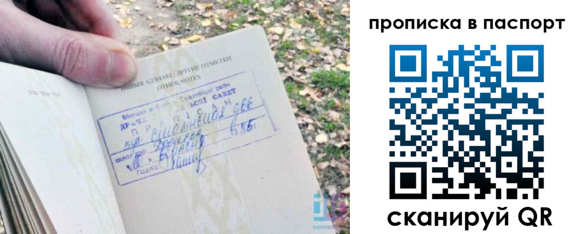 купить прописку в Камышлове